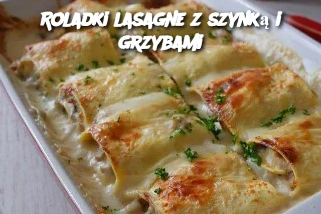 Roladki lasagne z szynką i grzybami