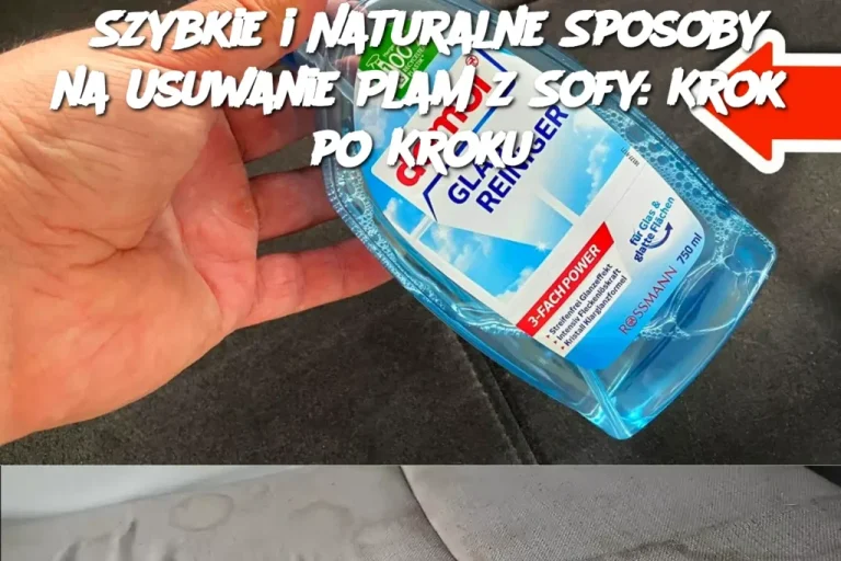 Szybkie i Naturalne Sposoby na Usuwanie Plam z Sofy: Krok po Kroku